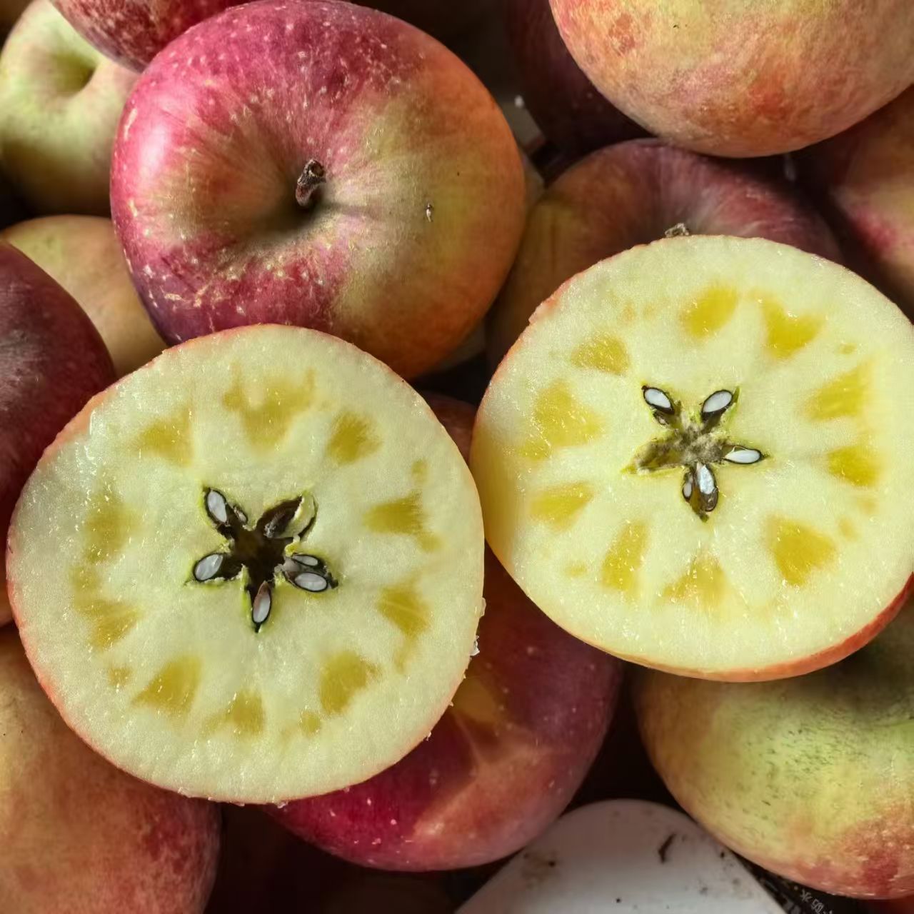 四川雅安汉源糖心红富士红苹果脆甜多汁高山丑苹果新鲜水果