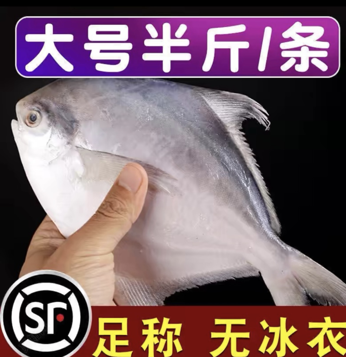冰鲜 大银鲳鱼5两一条（6条包邮）液氮锁鲜发货顺丰包邮
