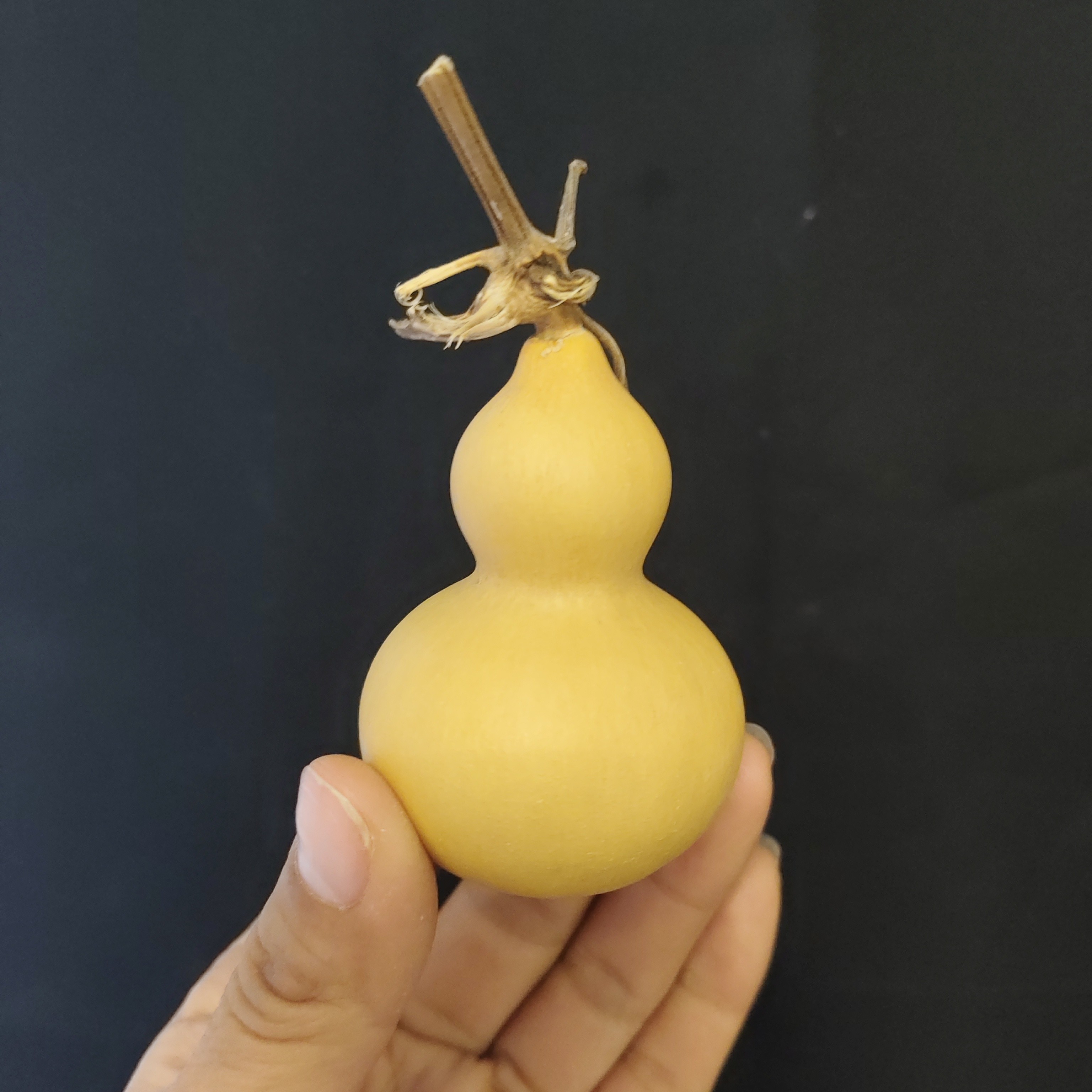 天然小葫芦【直播间下单专用链接】直播间外勿拍