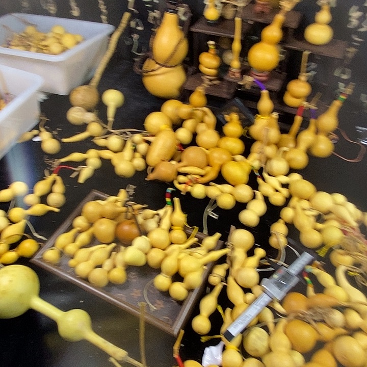 葫芦噜啦啦啦啦啦啦