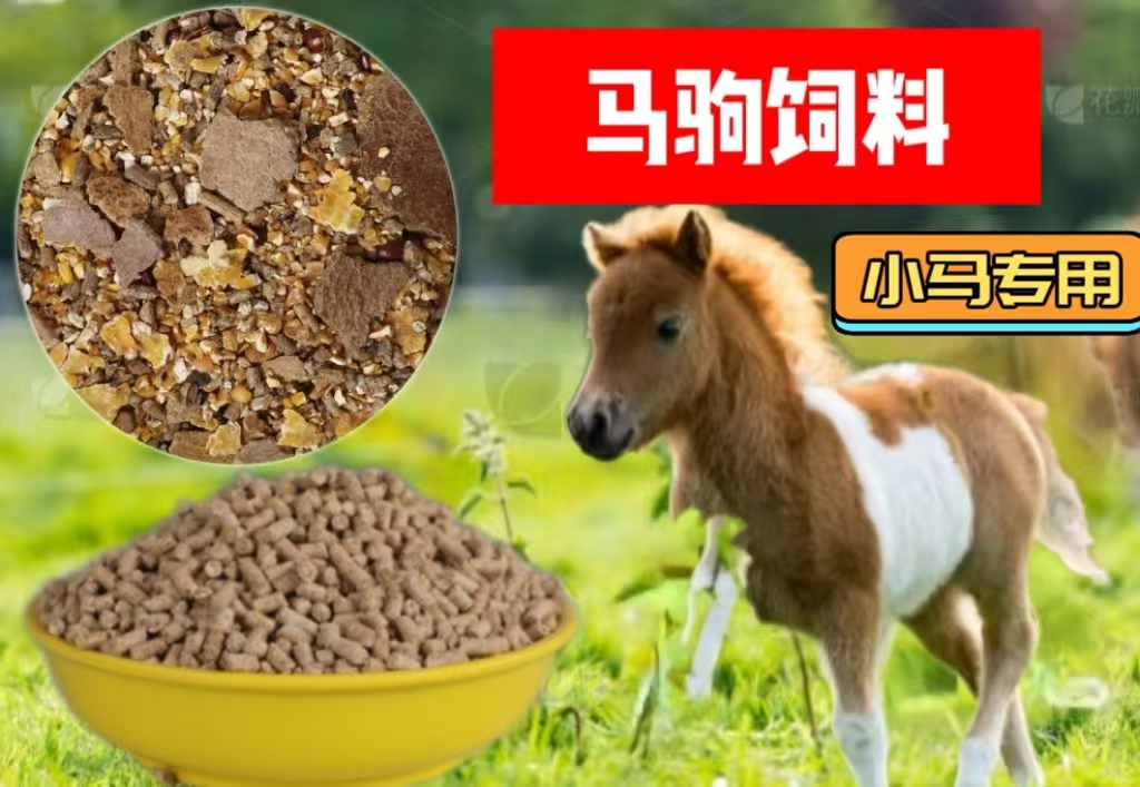 小马粮马驹饲料育肥马运动马饲料马专用颗粒料粉料1斤 1.8斤 5斤 