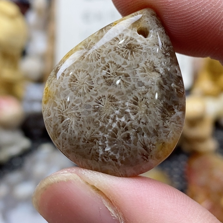 颈饰未镶嵌硅化珊瑚（珊瑚玉）小