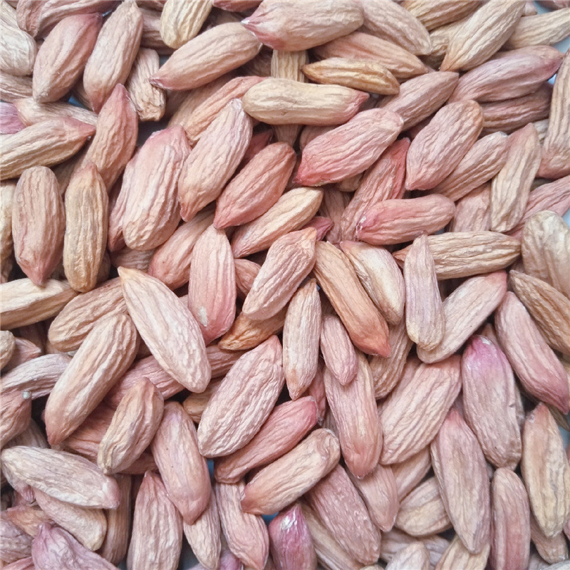 产地直发瘪花生米新鲜生秕小粒甘甜当季新货零食