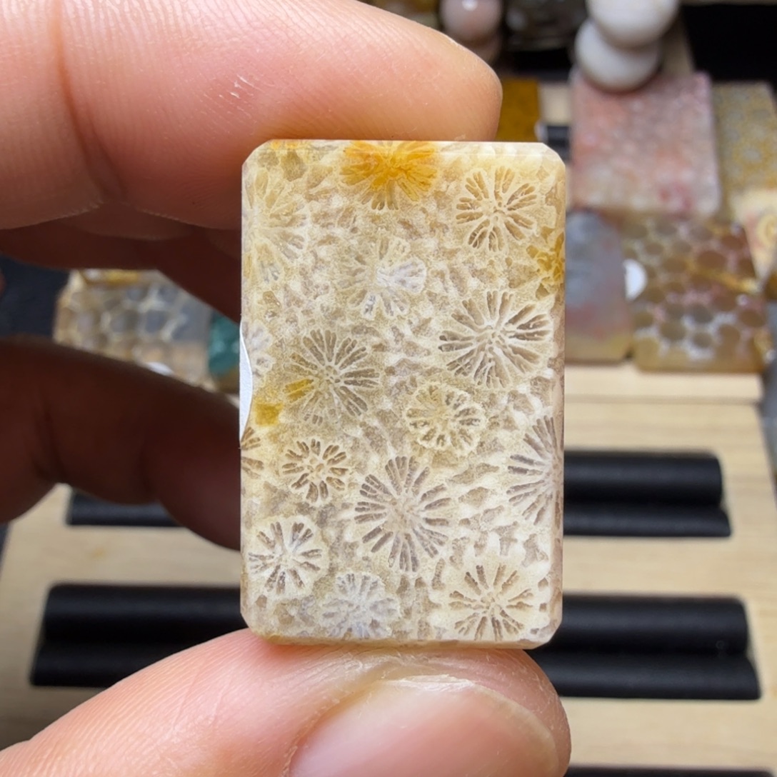 硅化玉未镶嵌纯天然色有机玉石保真色