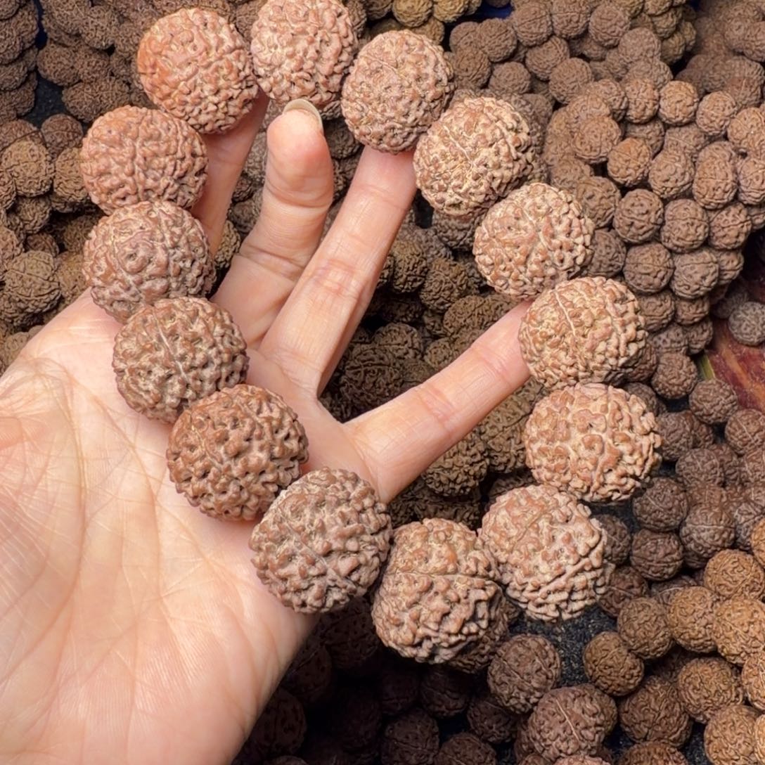 手串金刚菩提8瓣卡25尺，89号