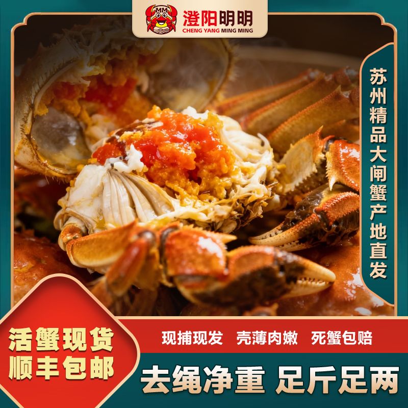 澄阳明明【精品大闸蟹】活蟹6两公+4两母6/8/10只塘养顺丰直发
