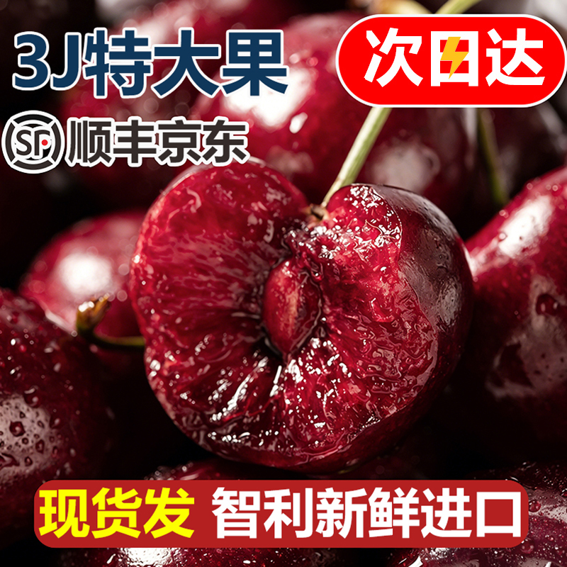 3JD特大果【今天拍明天到】智利车厘子新鲜宝宝孕妇水果 TY1内附果径卡800g海运桑提娜樱桃智利共和国