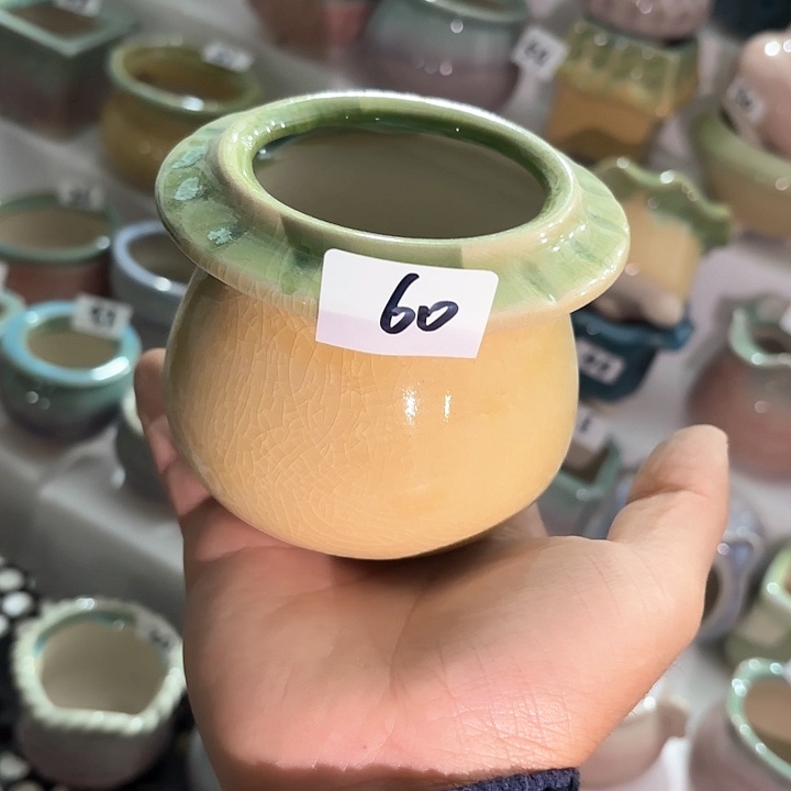 红陶量货｜口高深浅搭配发4