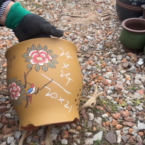 红陶紫砂花盆盆景盆栽