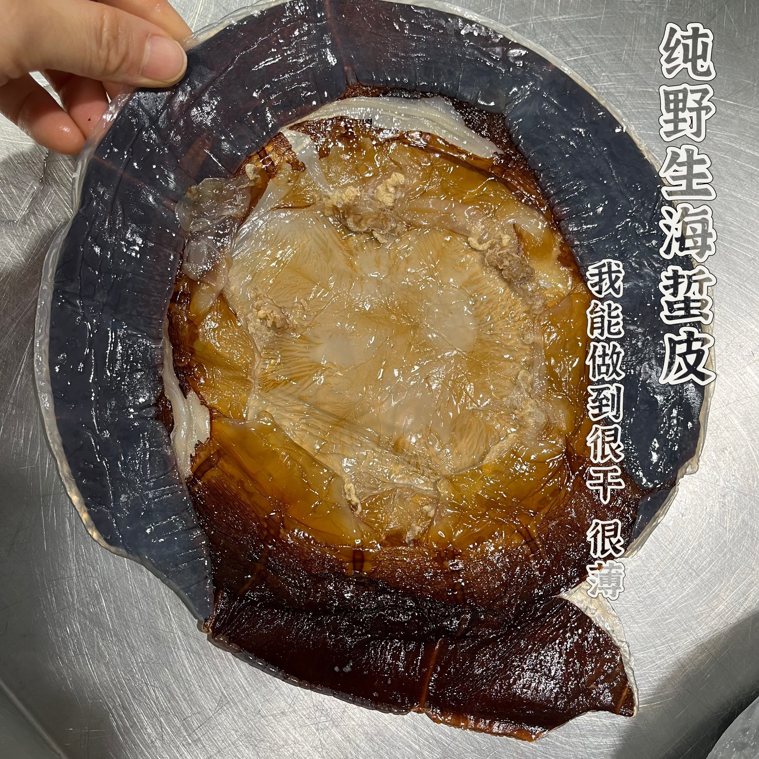 渔晶晶海鲜 纯野生海蜇皮 超干 海鲜凉拌菜爽脆海蜇提干皮