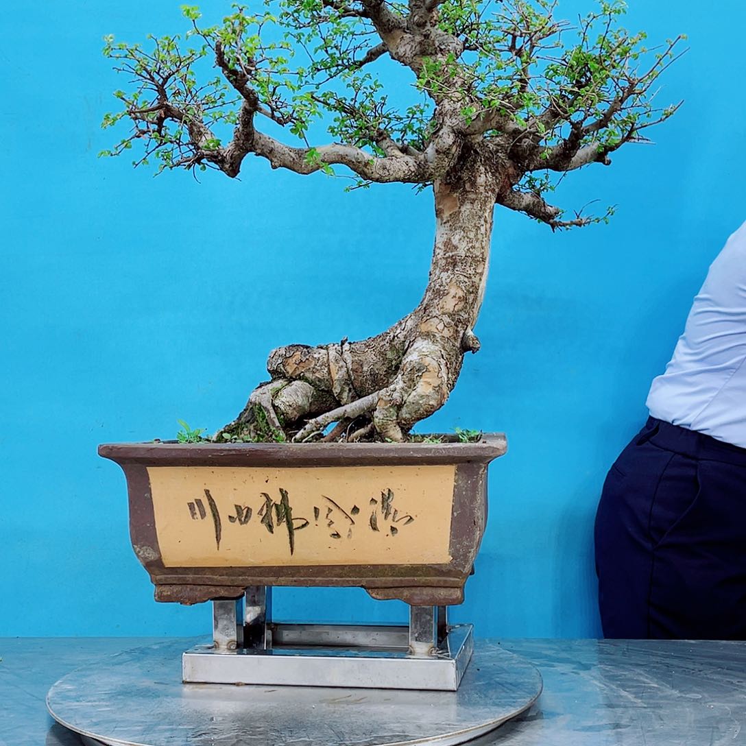 无铅玻璃大**愚岭南文化艺术中心的