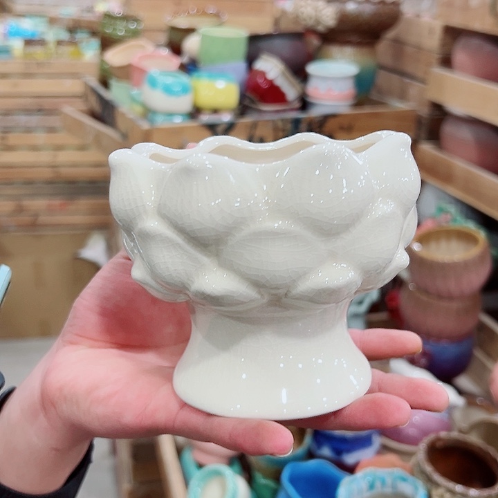 花盆有孔！订单凑满10米包由！