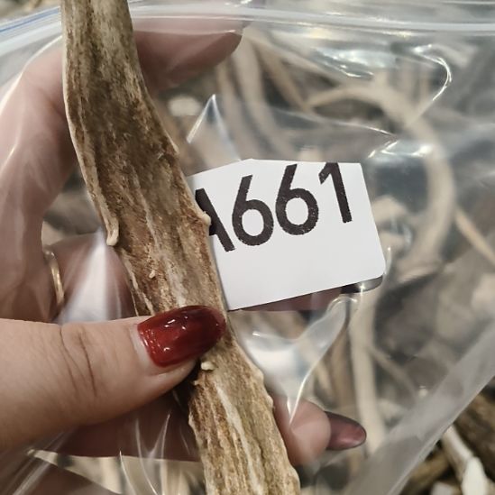 微***尘鹿角鹿角鹿角角鹿角