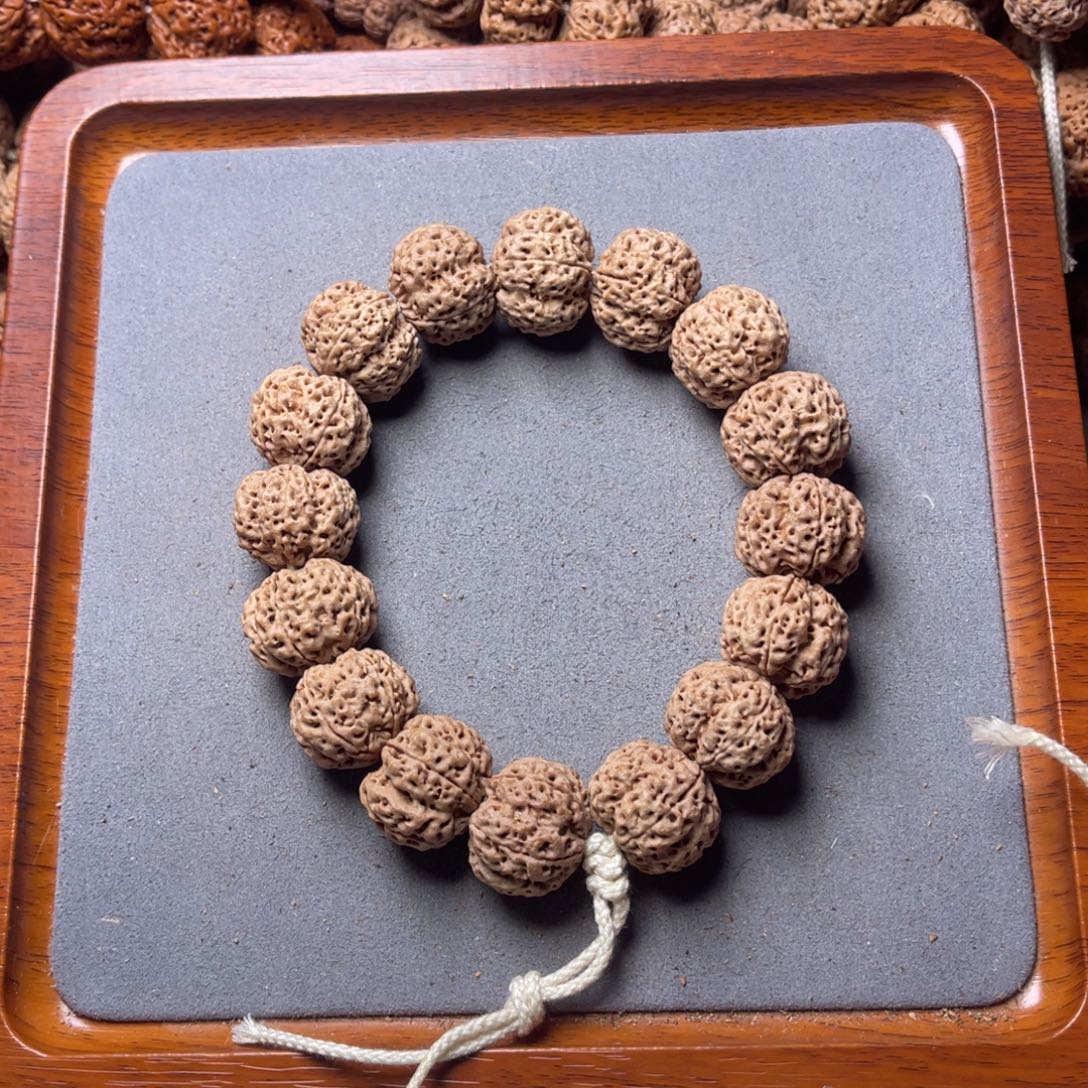 菩提籽类23号金刚菩提梁梅花21