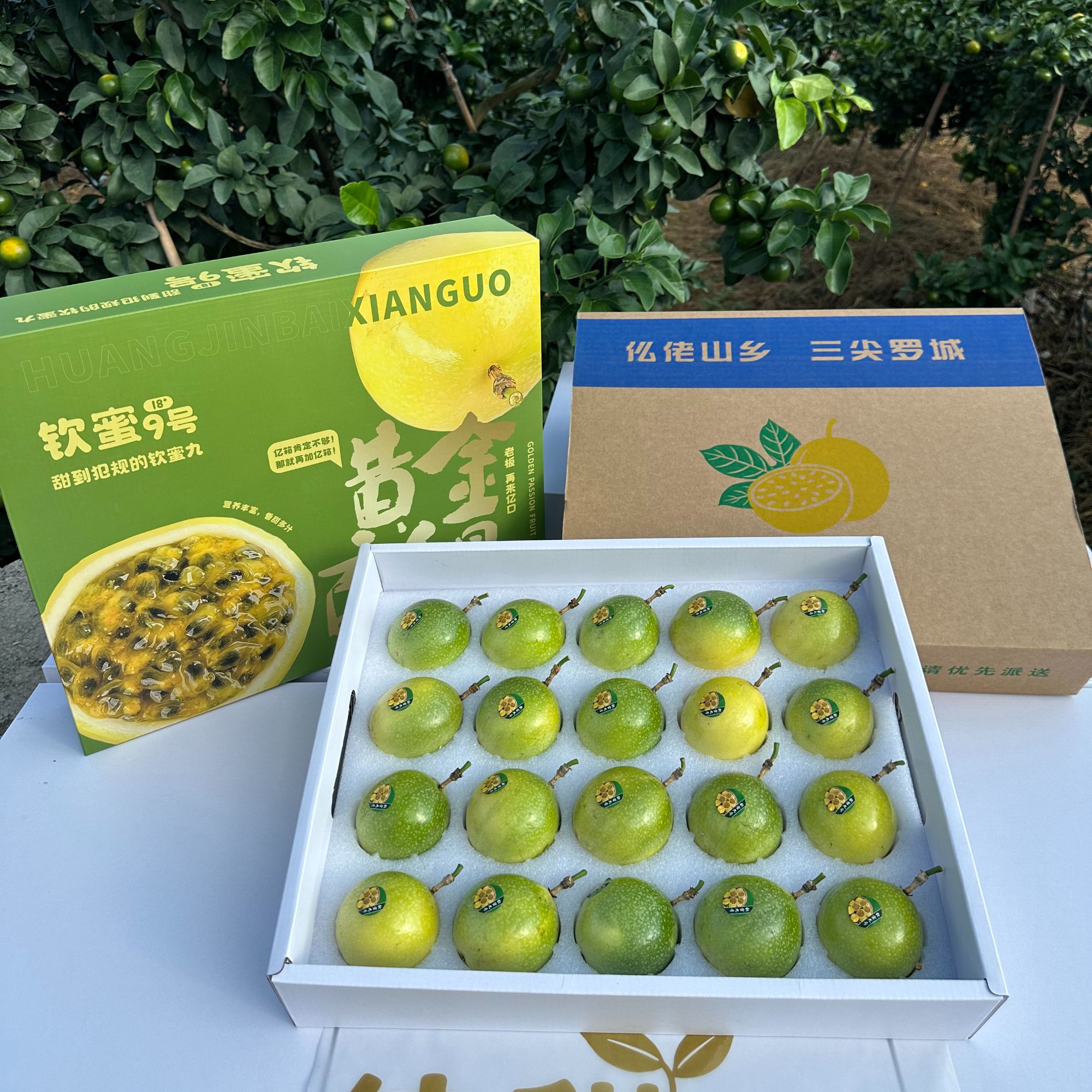 【精品百香果礼盒】超大果钦蜜9号-广西新鲜水果当天摘VC爆满蜜香甜
