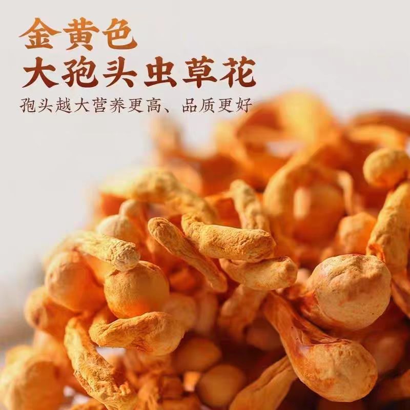 净重虫草花新鲜干货孢子头虫草花批发价煲炖鸡汤