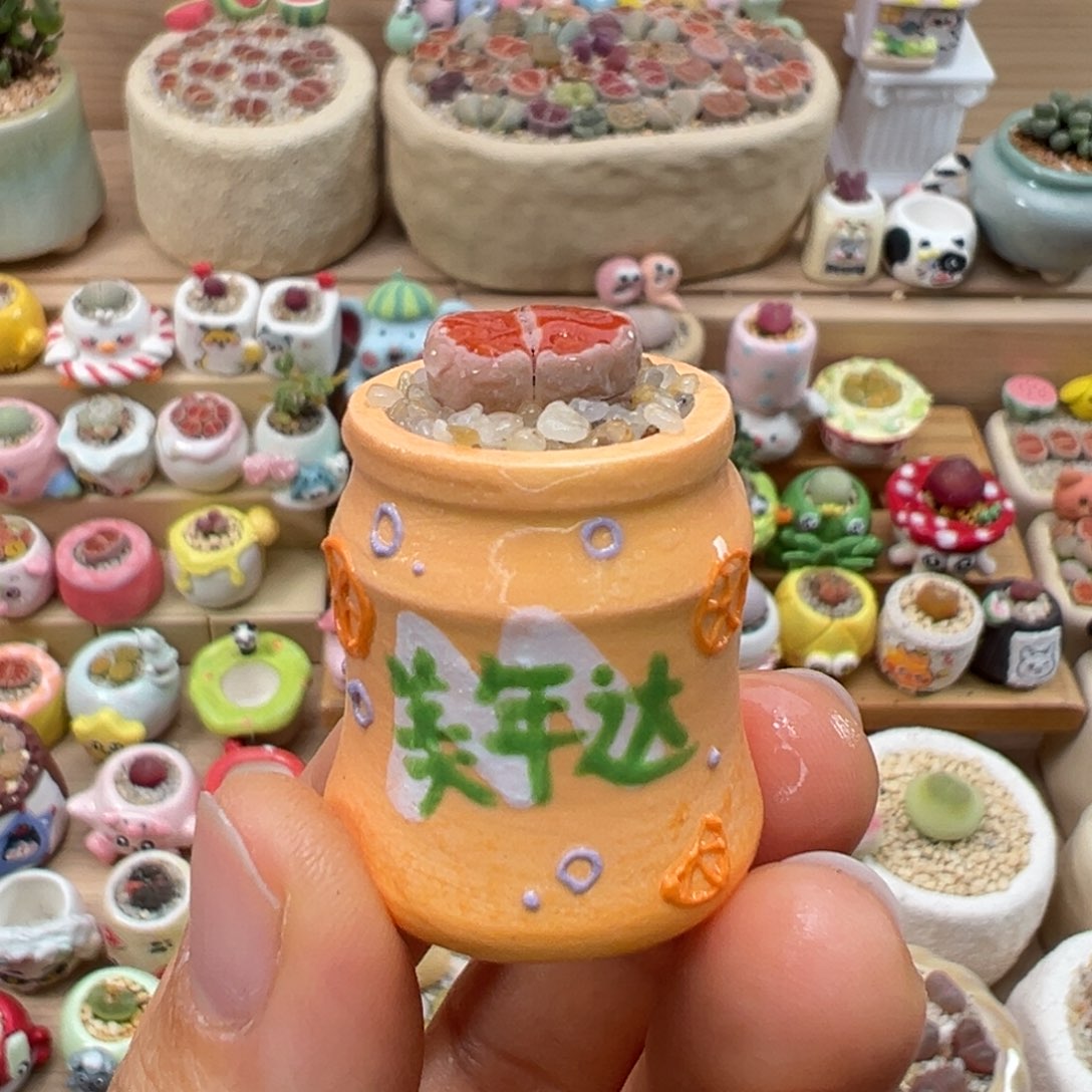 多肉植物91号拇指盆