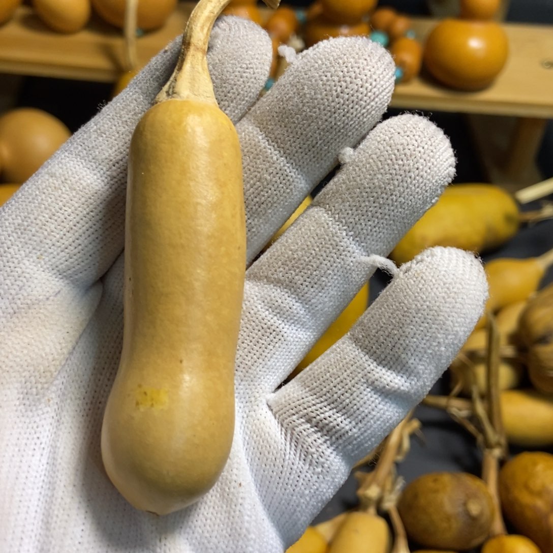 一***布葫芦葫芦葫芦