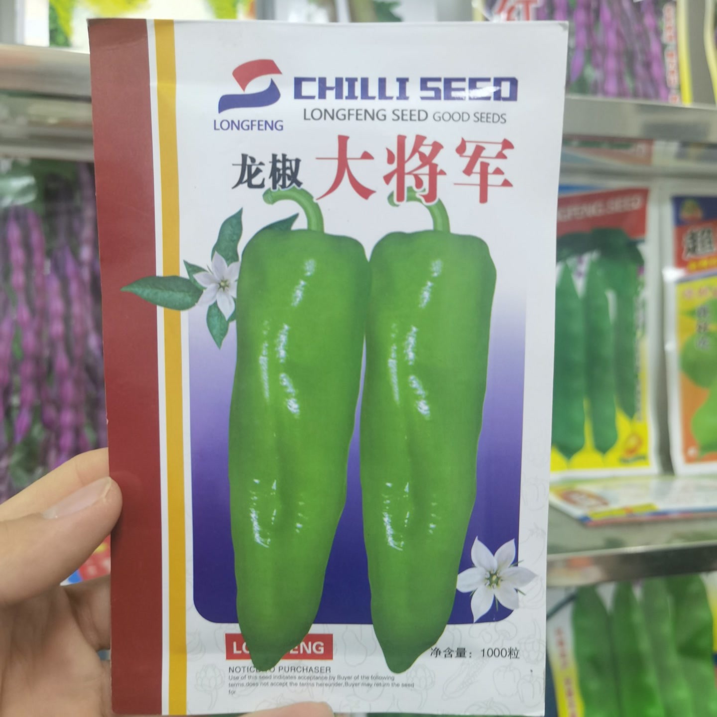 龙丰秋玉龙椒大将军牛角椒种子