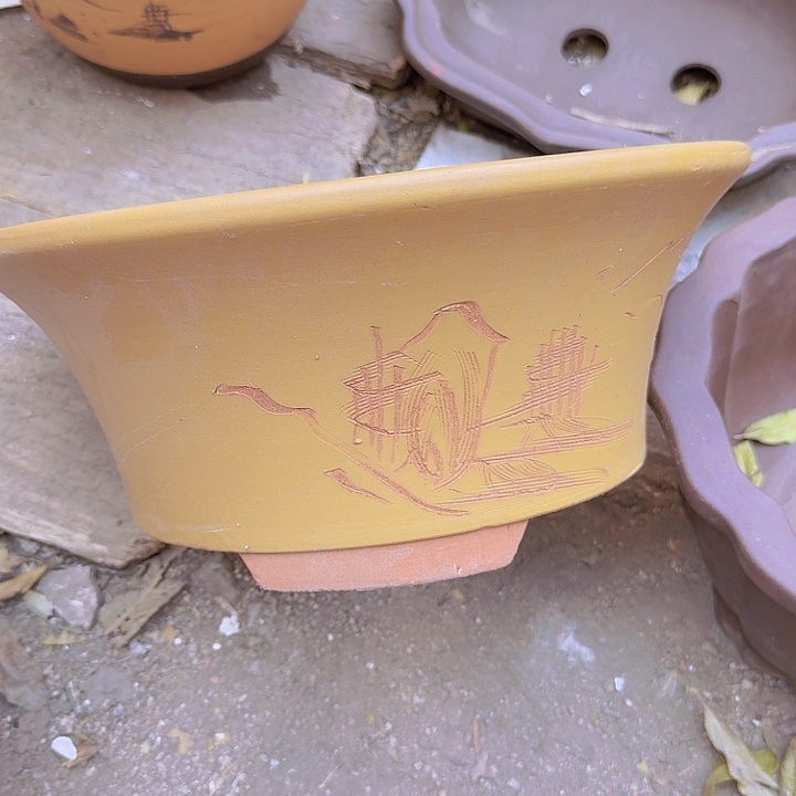 紫砂33黄票口花盆花盆花盆