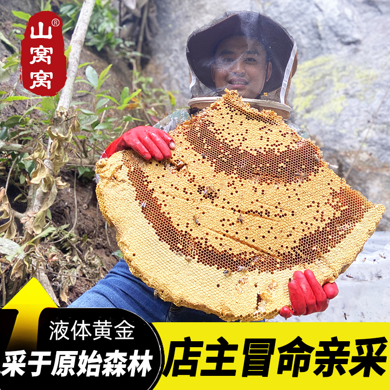 山窝窝原始森林悬崖蜜土蜂蜜500g*1瓶