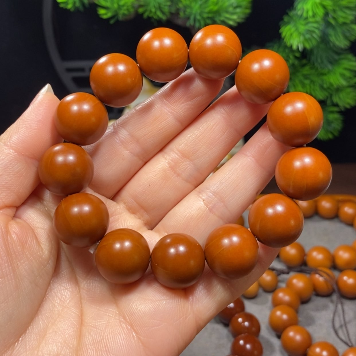 【闪购商品】吊坠橄榄核一**间1.75+铁核精品小孔