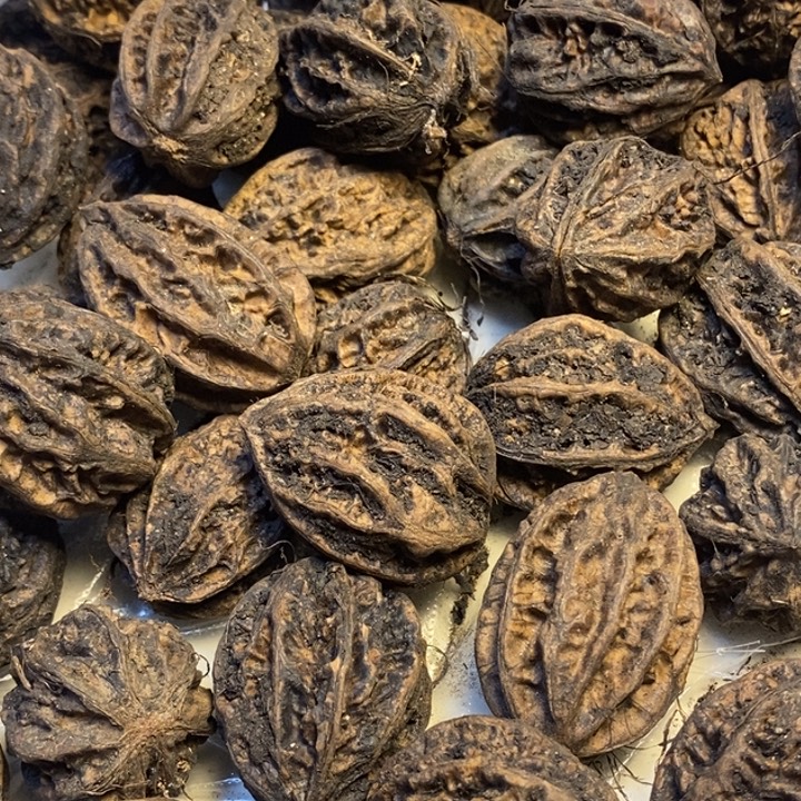 桃核吊坠东北特产74