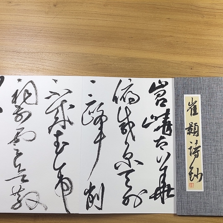 书法中书协会员作品