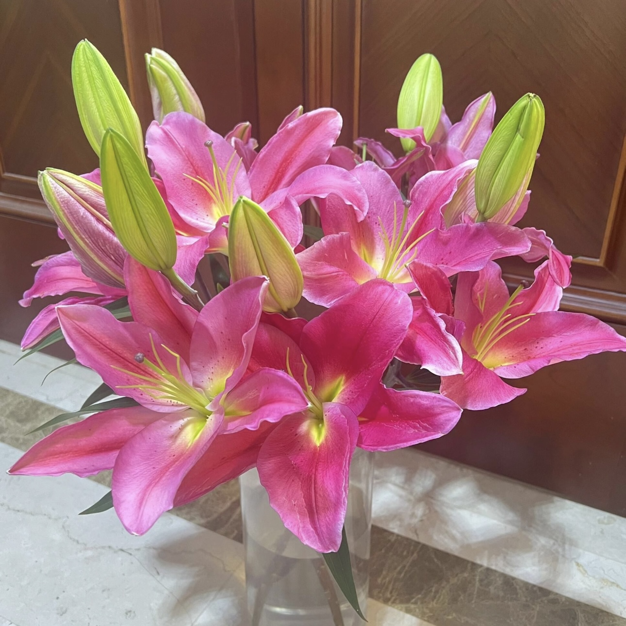 『西诺红百合』5枝 高品质 红色百合  全场一单包邮 两单顺丰