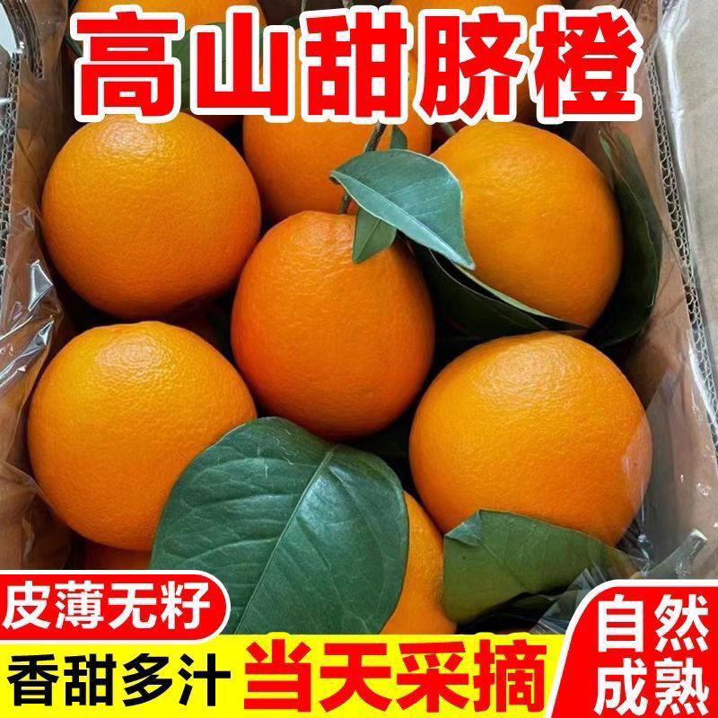 【正宗高山脐橙】纽荷尔脐橙皮薄肉厚果园直发多仓发货好吃橙子