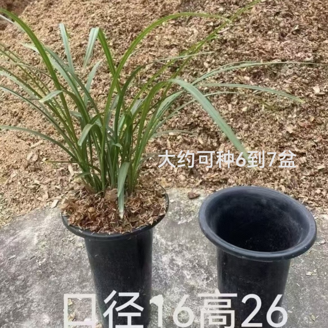 兰园自制专用植料10升，高温发酵