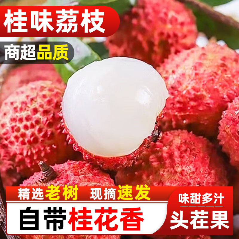 【京东冷链-桂味】广东桂味荔枝当季新鲜现摘老树果多汁包邮kr