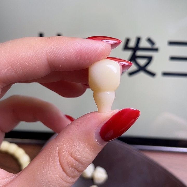 驼骨手串/手链0200