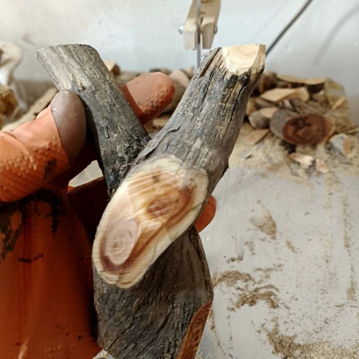 ****疑崖柏原叉崖柏原叉崖柏原叉崖柏