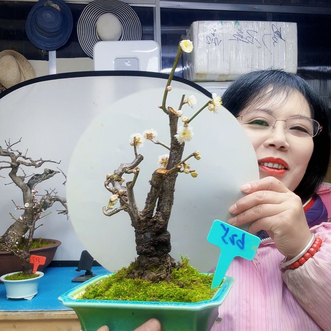 红陶四****9x c g h j n k k