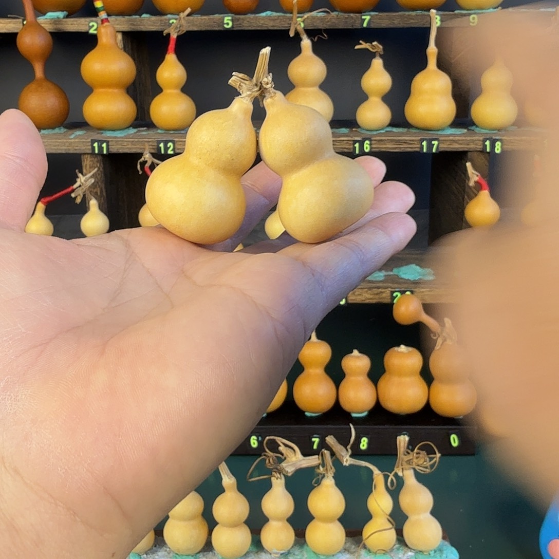 龙***海葫芦葫芦葫芦葫芦葫芦葫芦