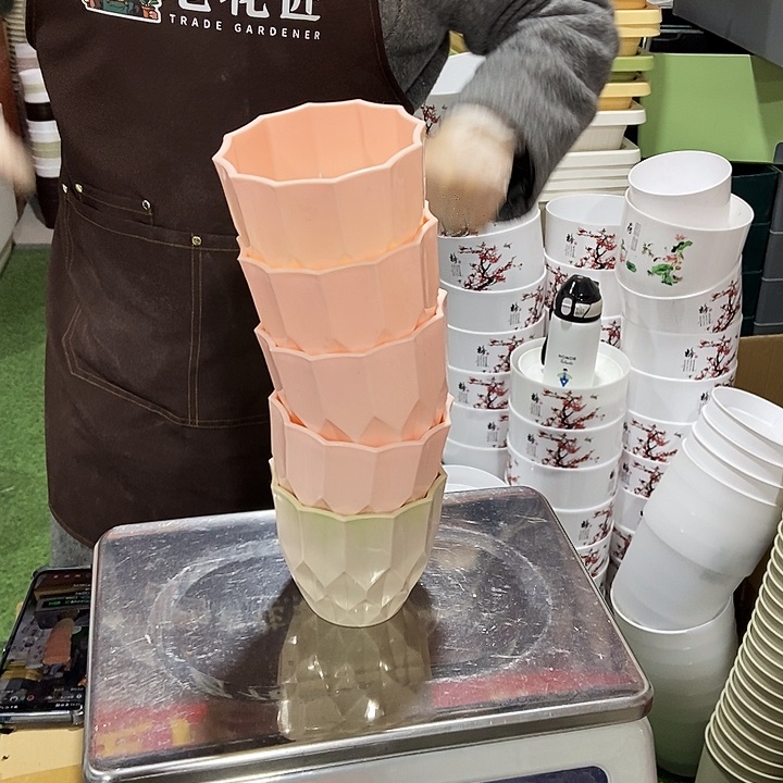 塑料钻石口11高10混色无拖5个