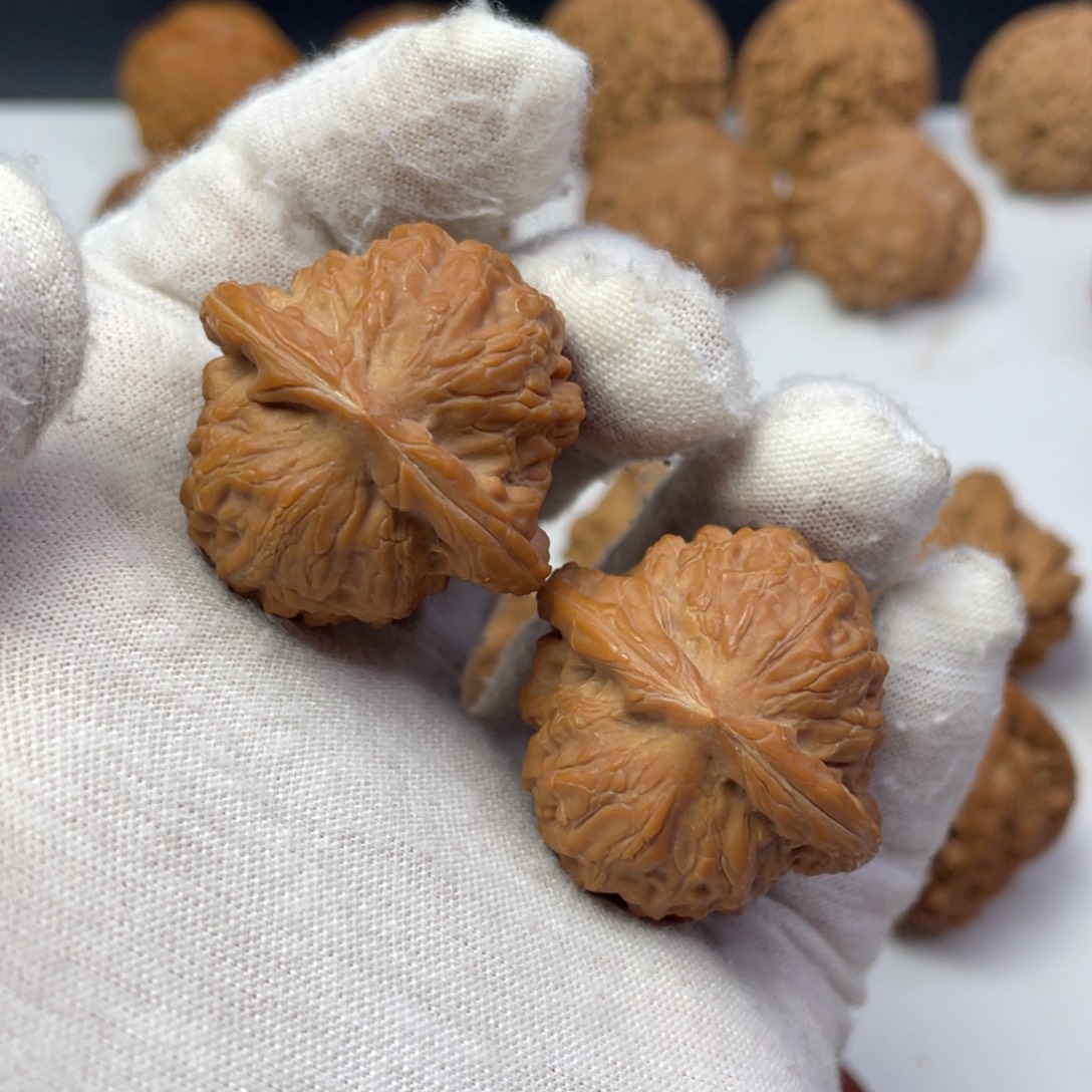 核桃34观音肚全品