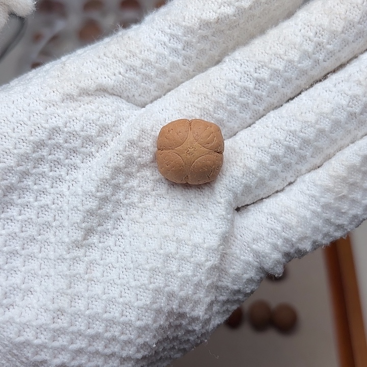 凤眼菩提手串麒麟三通肌肉19