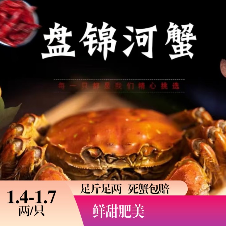 【活蟹】盘锦河蟹全母稻田蟹 1.4-1.7 两/只4斤包邮包活