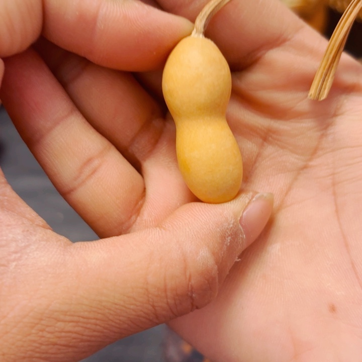 辉**团8888888888888888889