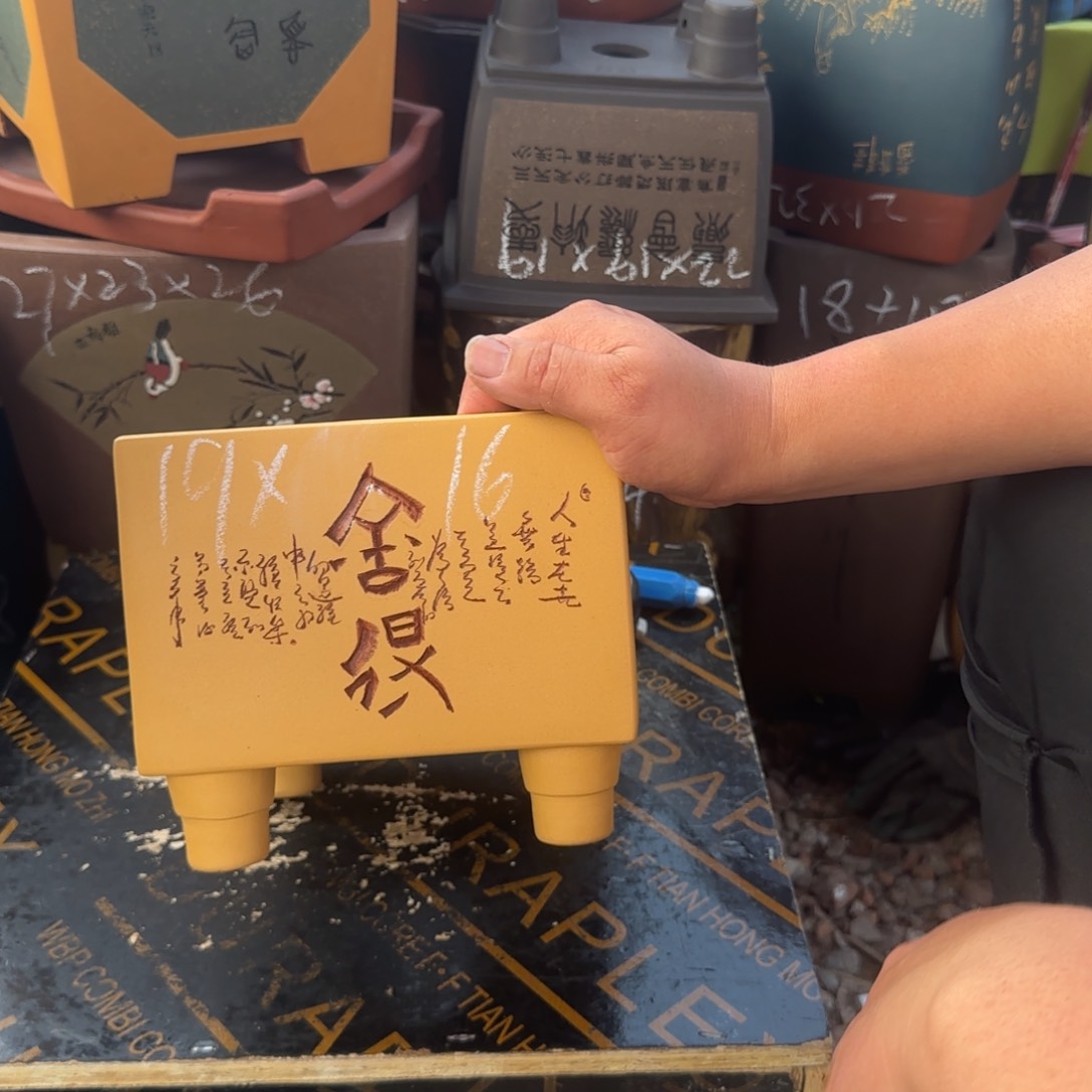 紫砂花盆花盆盆景盆栽