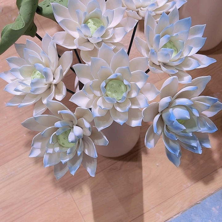 冰透荷花荷花六件套根据图片数量