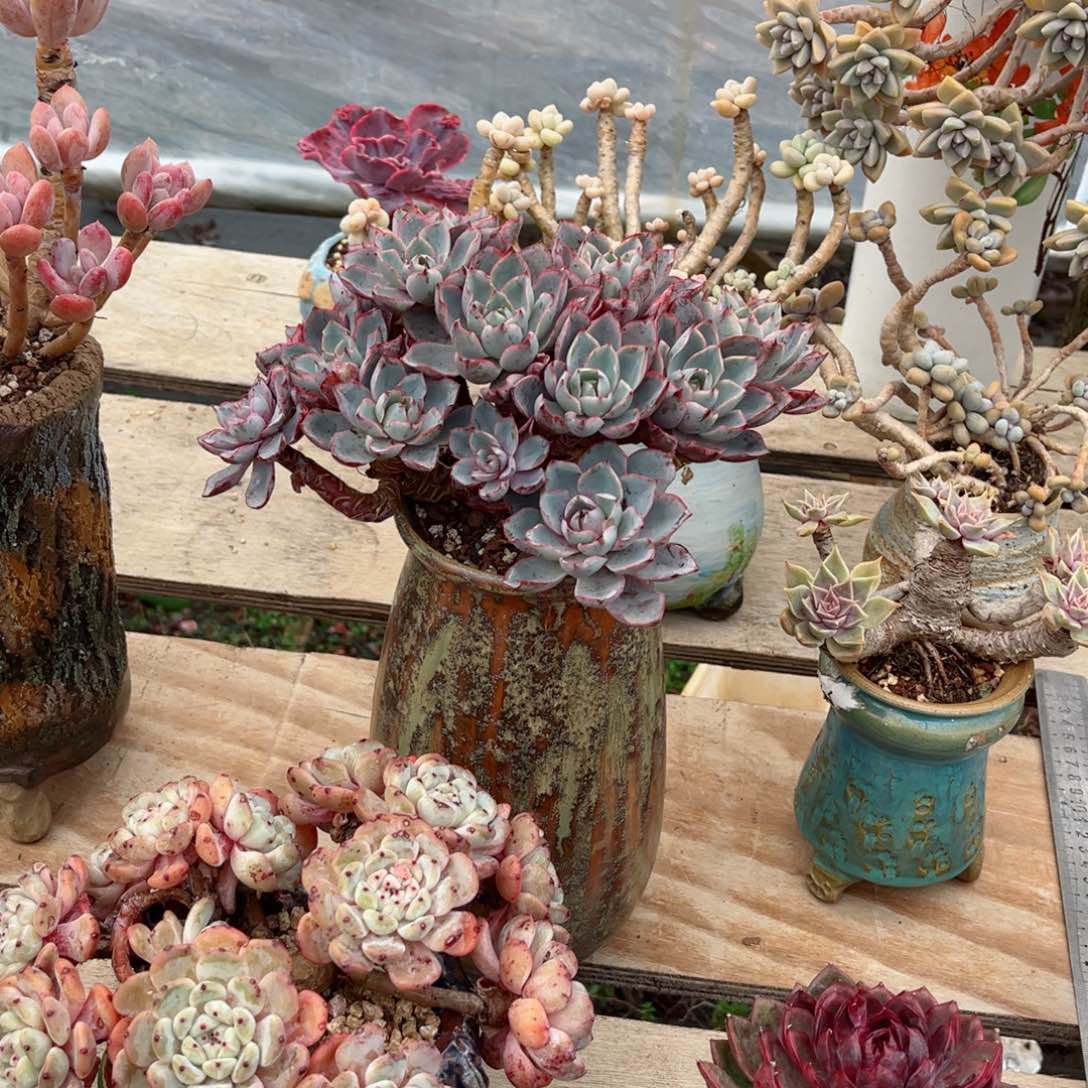 在这样下去你要把自