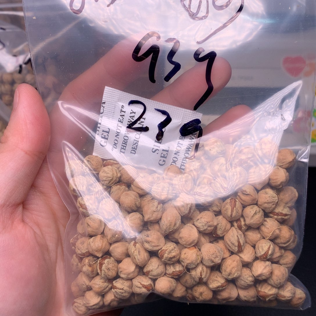 妙***都吊坠柏香籽/百香籽