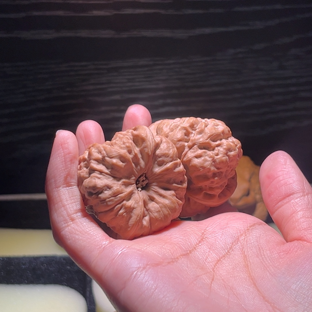 牛***排大叶紫檀（黑酸枝木类）蛤蟆