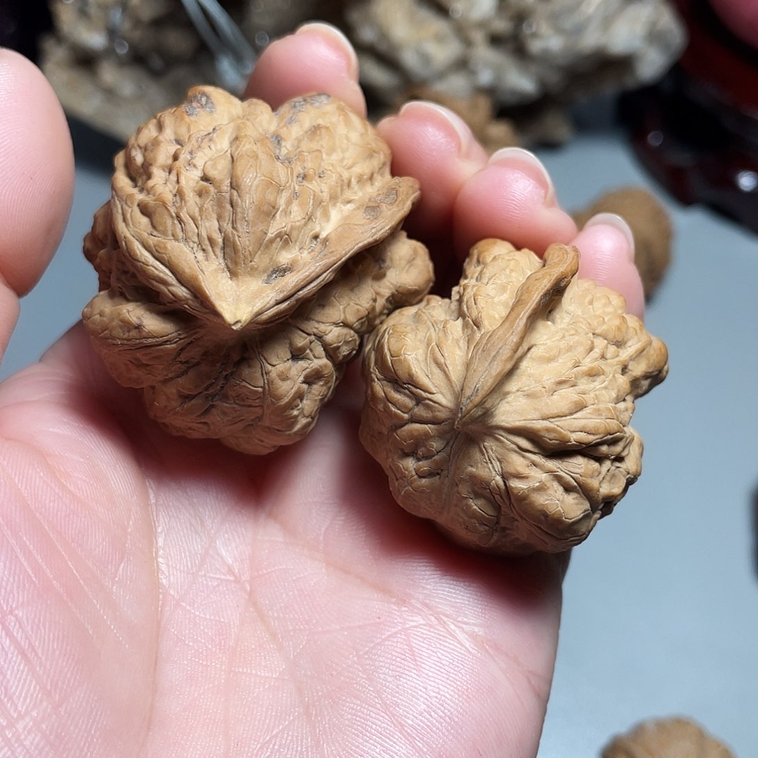 核桃手串/手链精品蛤蟆飞蛇子母