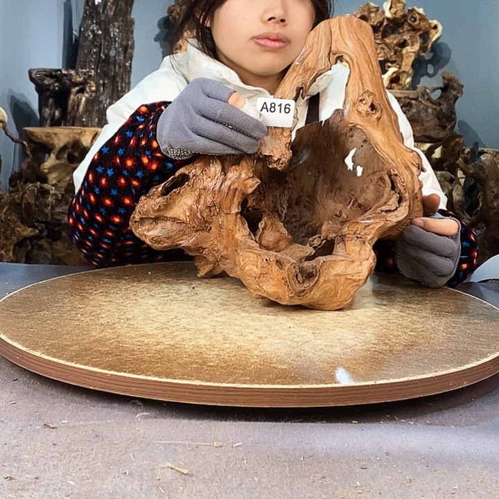 茶盏岁****旺816。红杉根随行根艺