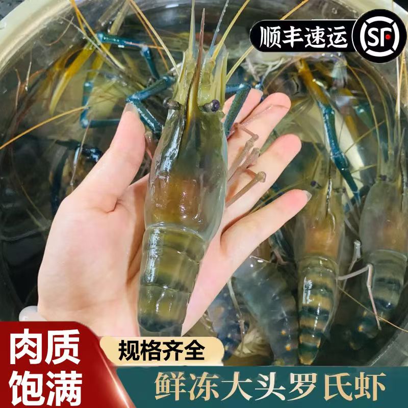 10-15只/斤到手3斤大号罗氏虾顺丰冷链鲜活速冻海鲜水产肉质鲜嫩