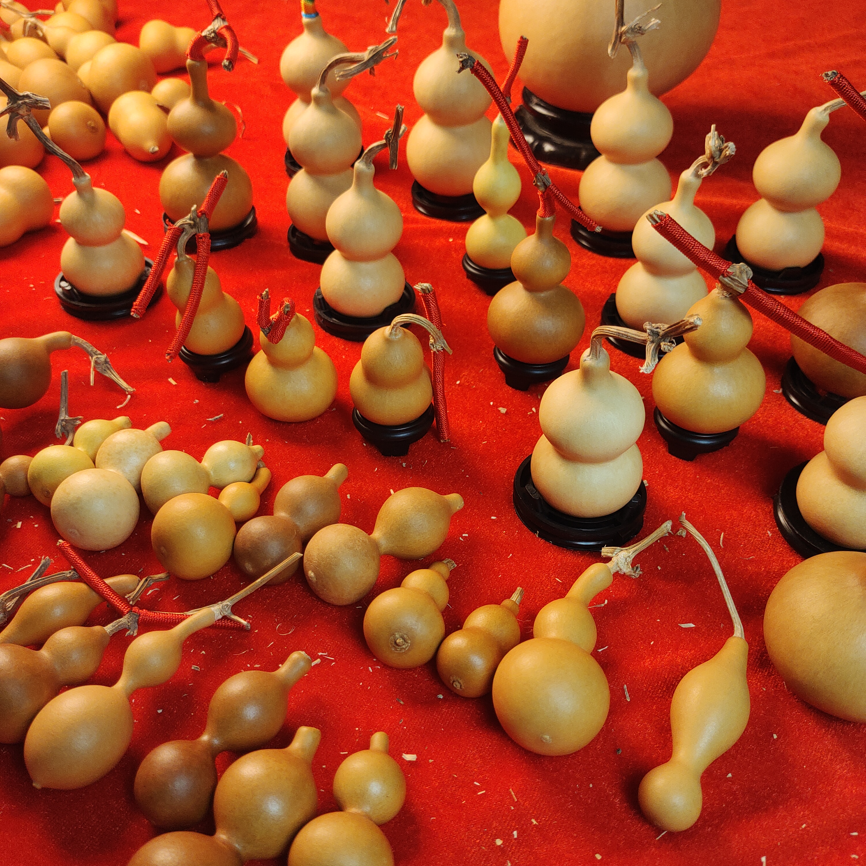 直播间葫芦专拍链接